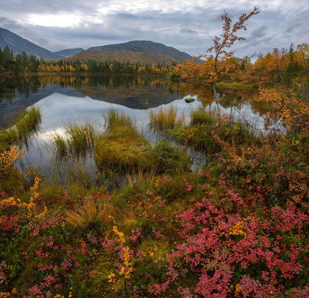 Photograph by Vladimir Bragilevsky