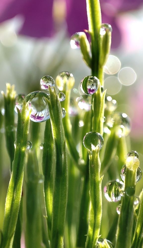 Photograph by Марина Артемьева