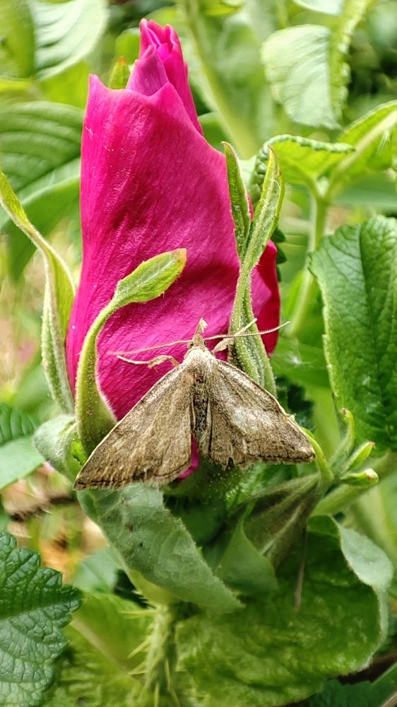 Photograph by Марина Артемьева