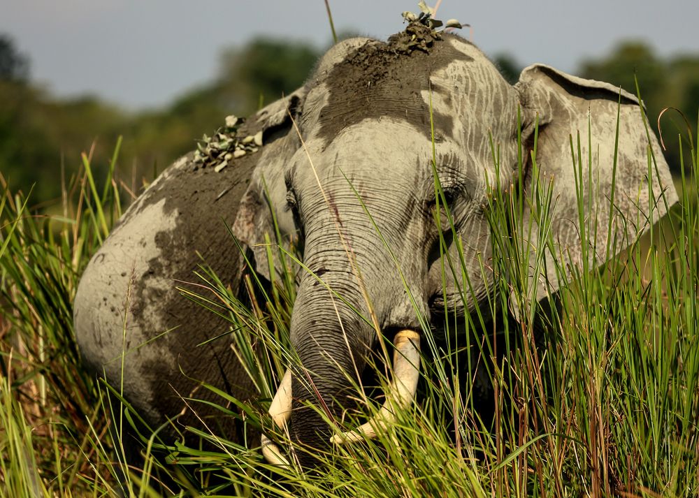 Enjoying My Habitat!