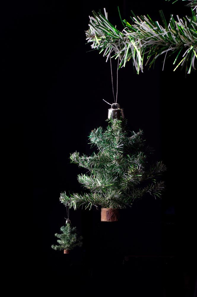 Photograph by Максим Захаров