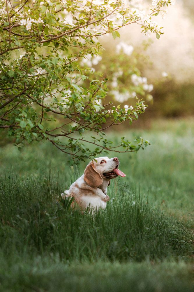 Photograph by Ольга Макарова