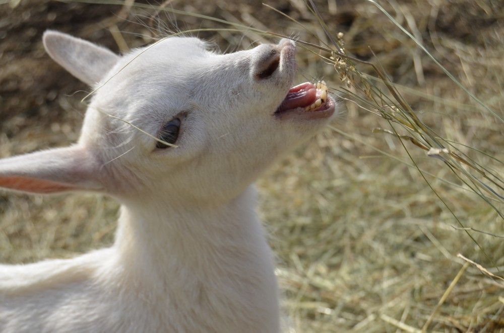 Photograph by Светлана Спицова