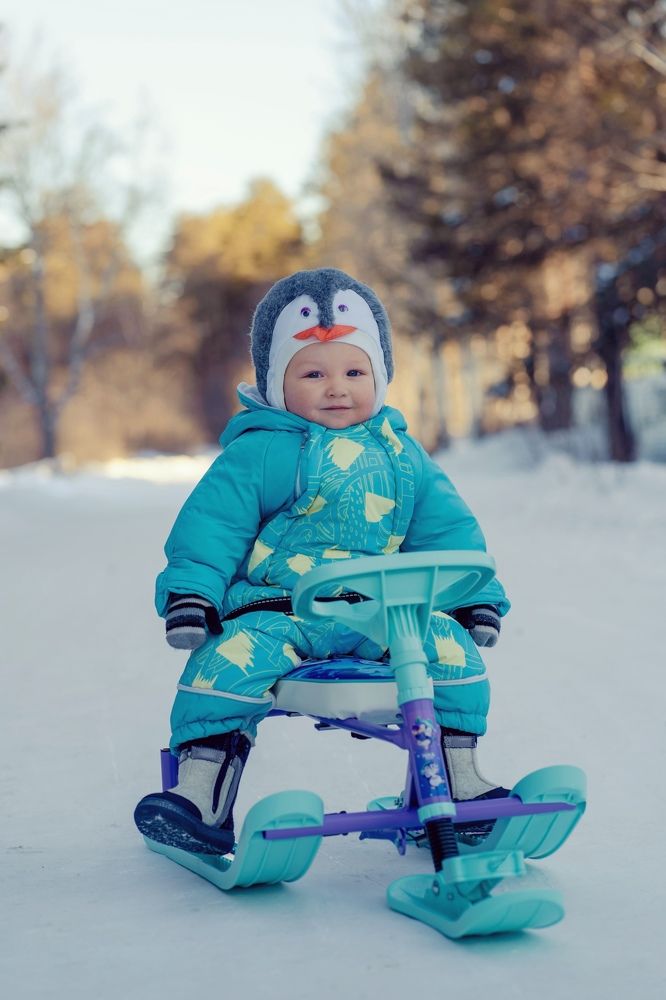 A cute little penguin