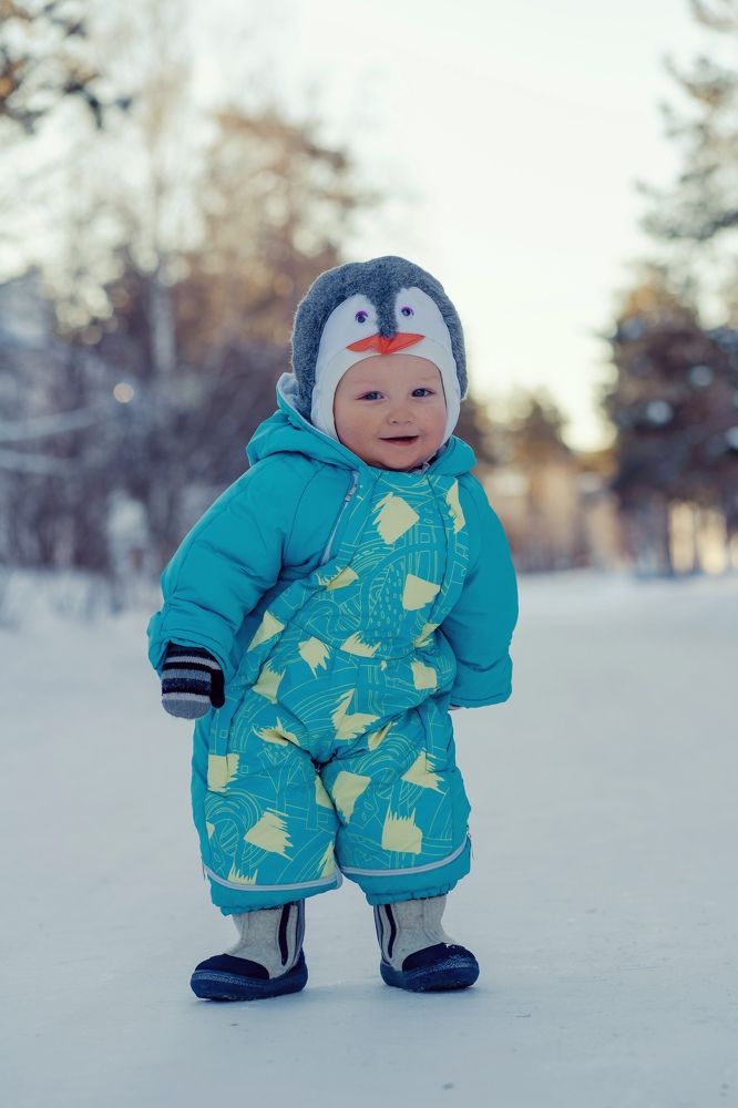 funny little penguin