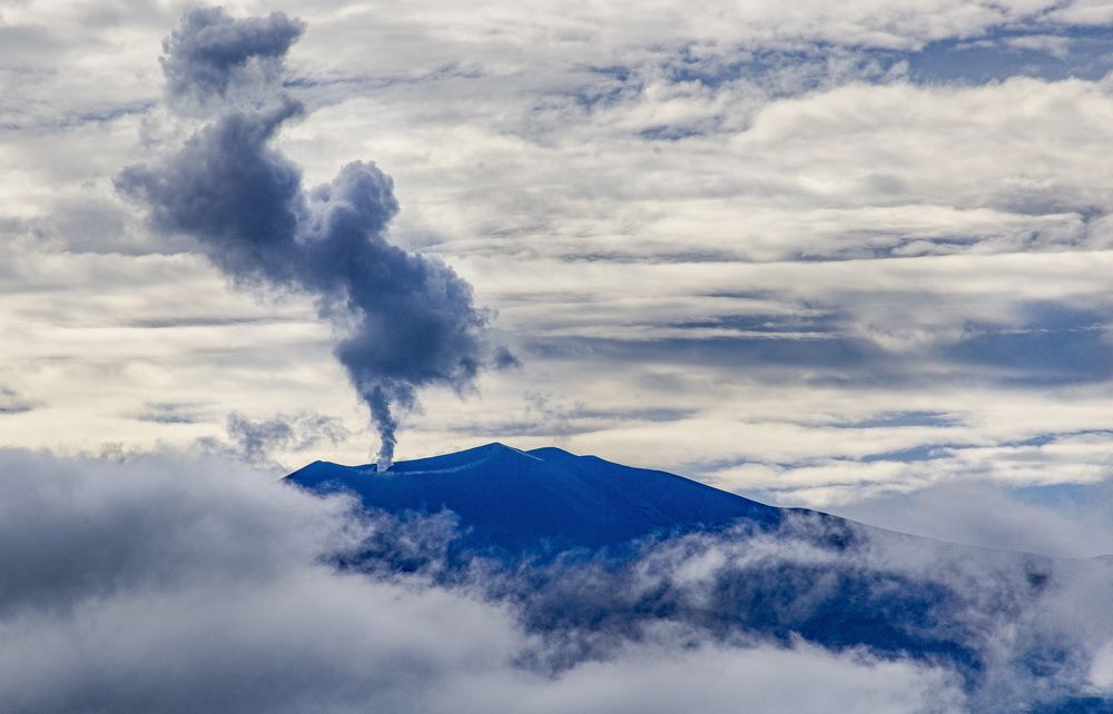 Фотография автора Fernando orozco fajuri
