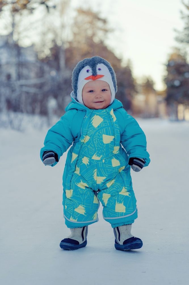 funny little penguin