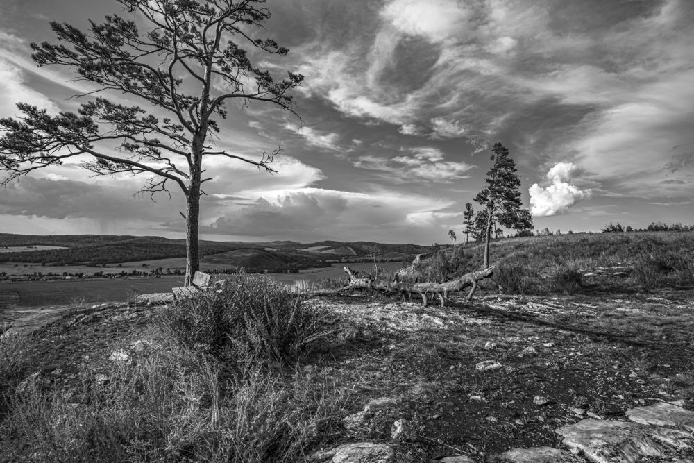 Photograph by Илфир Исламгазин