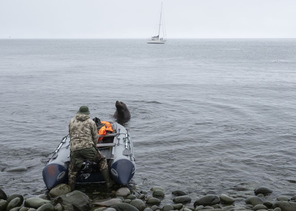 Photograph by Галина Михоношина