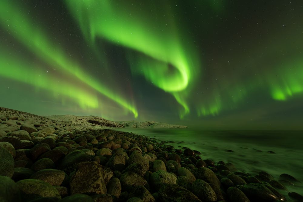 Photograph by Елена Вторушина