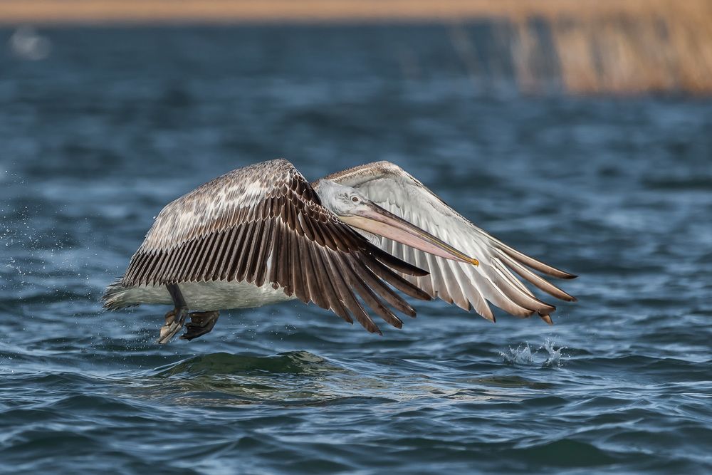 Photograph by Александр Щербаков