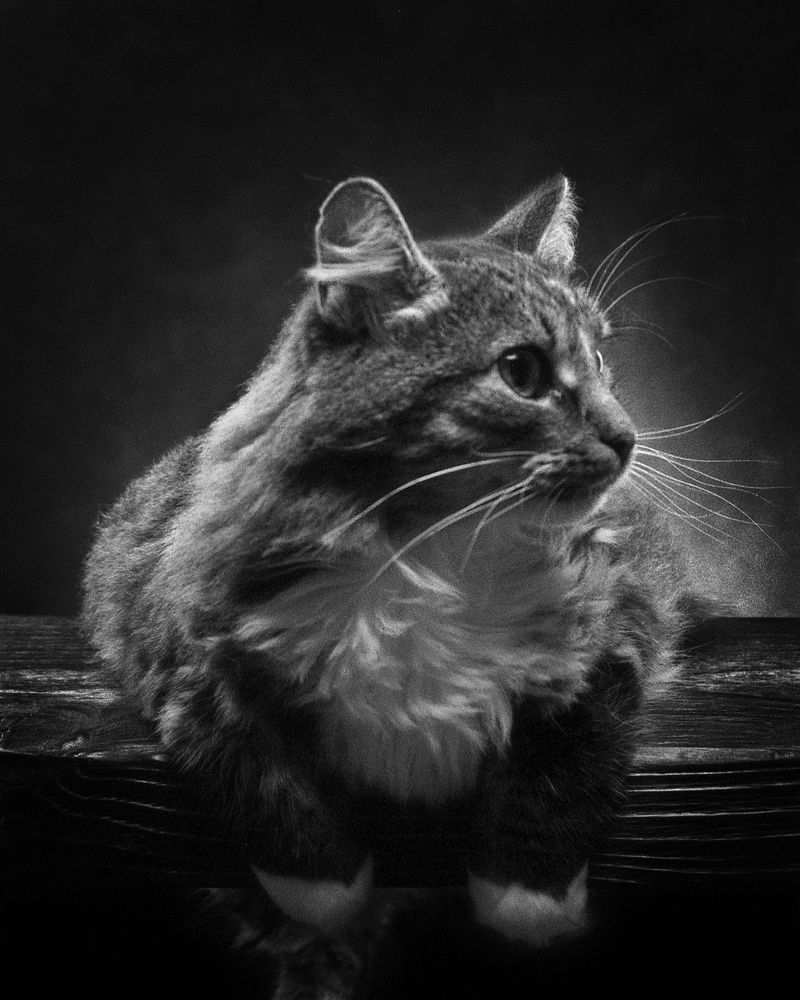 Фотография автора Сизов Кирилл