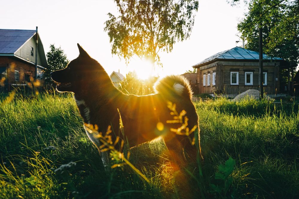 Photograph by Наталия Якимова