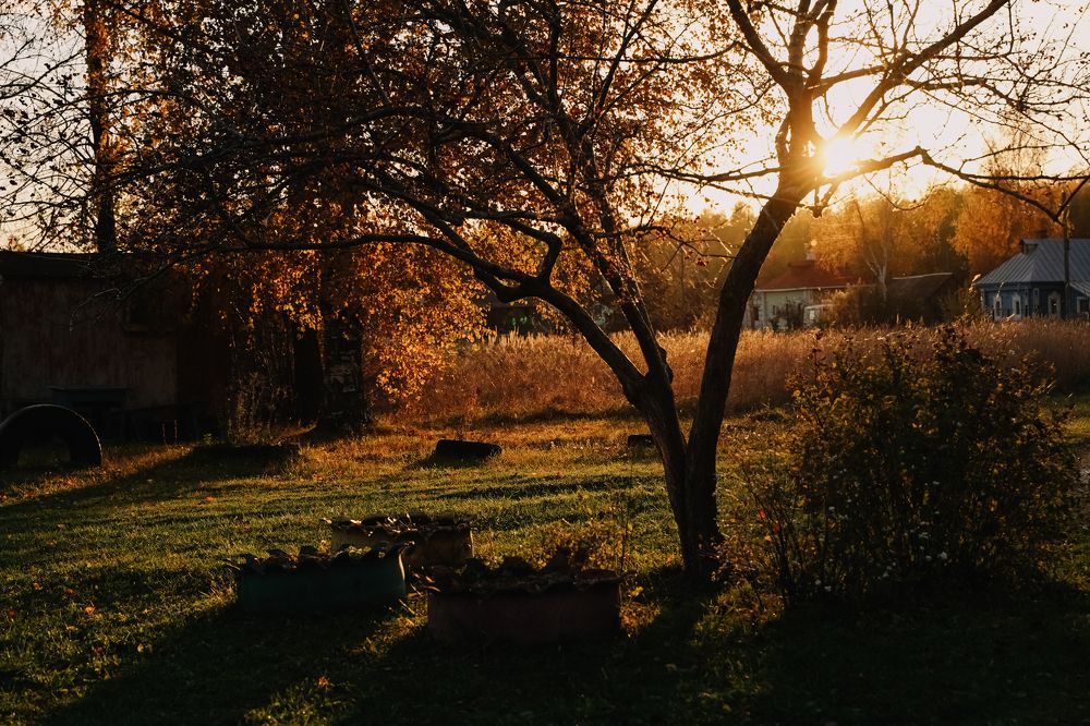 Photograph by Наталия Якимова