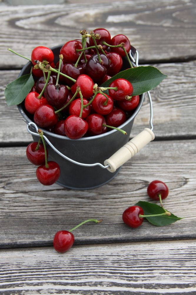 Photograph by Елена Третьякова