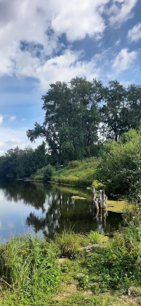 Photograph by Елена