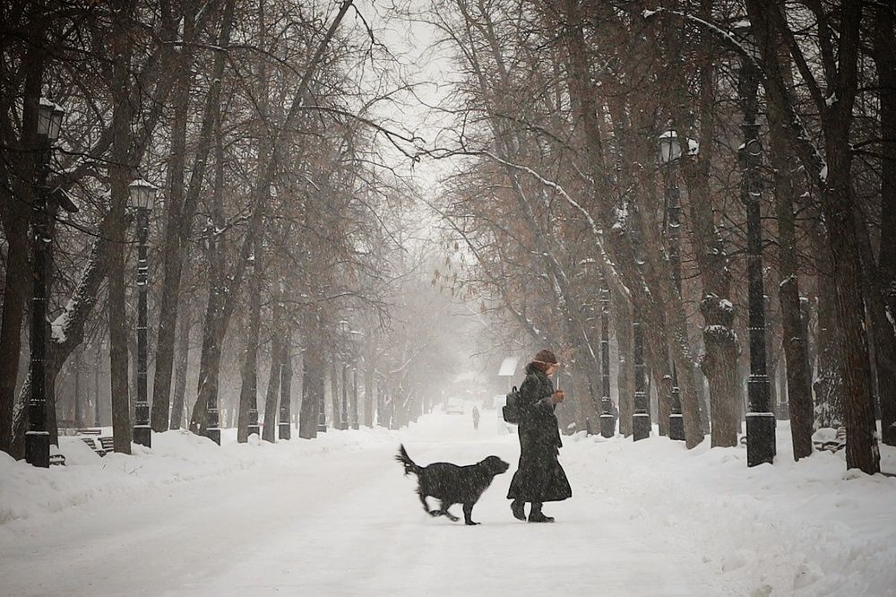 Фотография автора Елена Кириллова