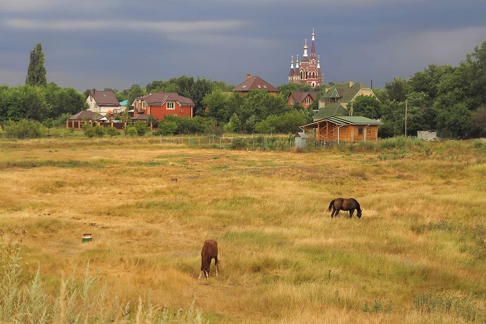 Photograph by Алла Шевченко