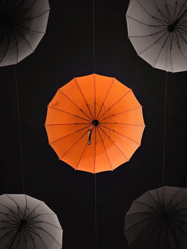 Photograph by Владислав Моисеев