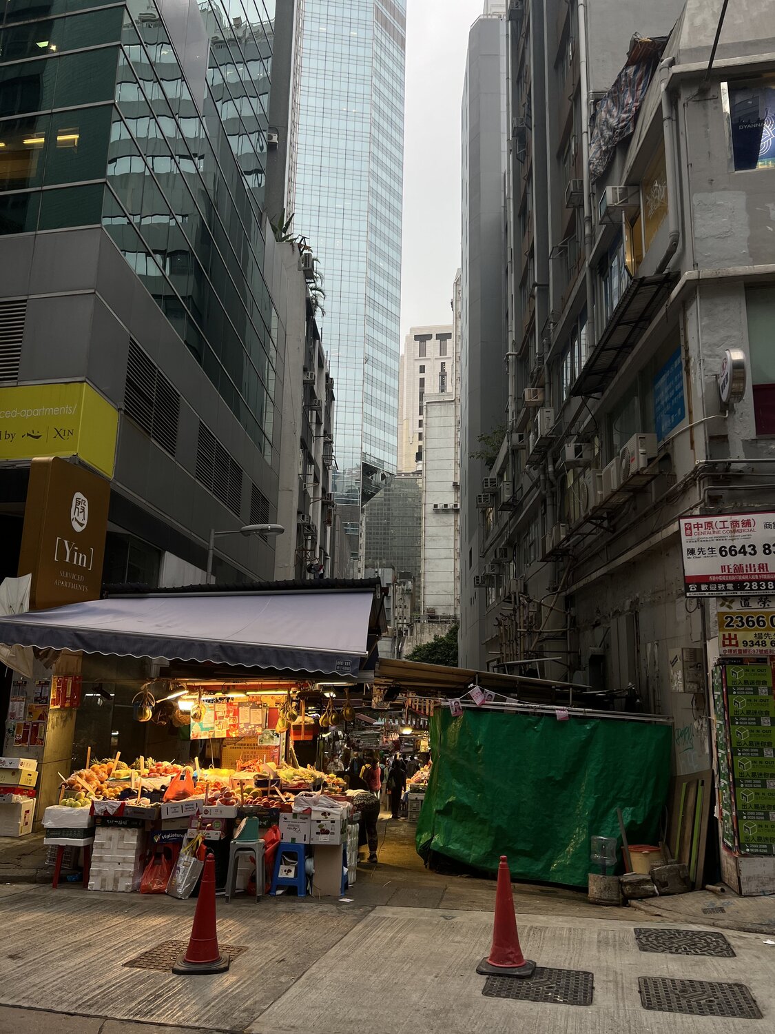 Photo #10243741