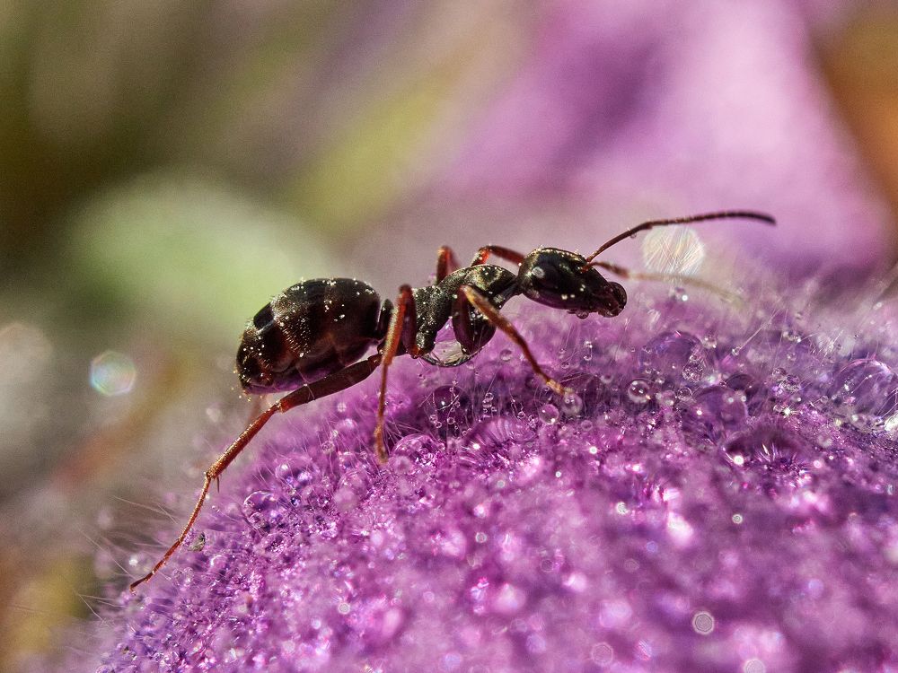 Photograph by Калёв Сергей