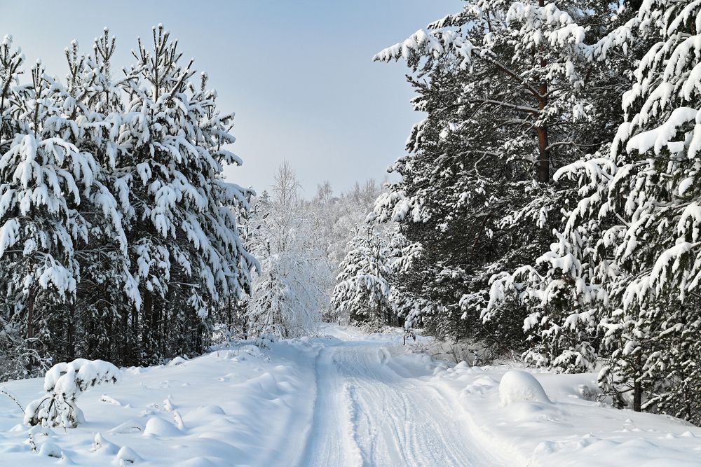 Photograph by Калёв Сергей