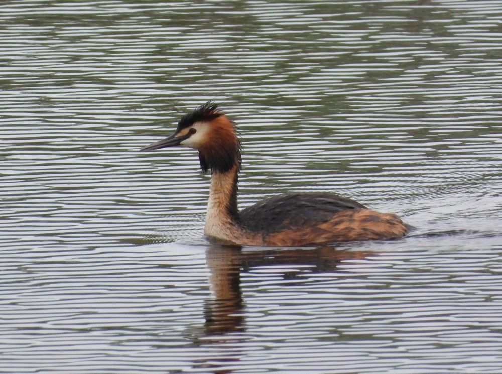 Photograph by Владимир Джерихов