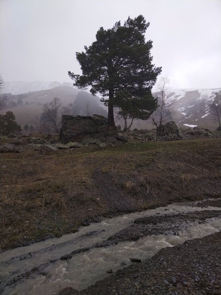 Photo #10243876
