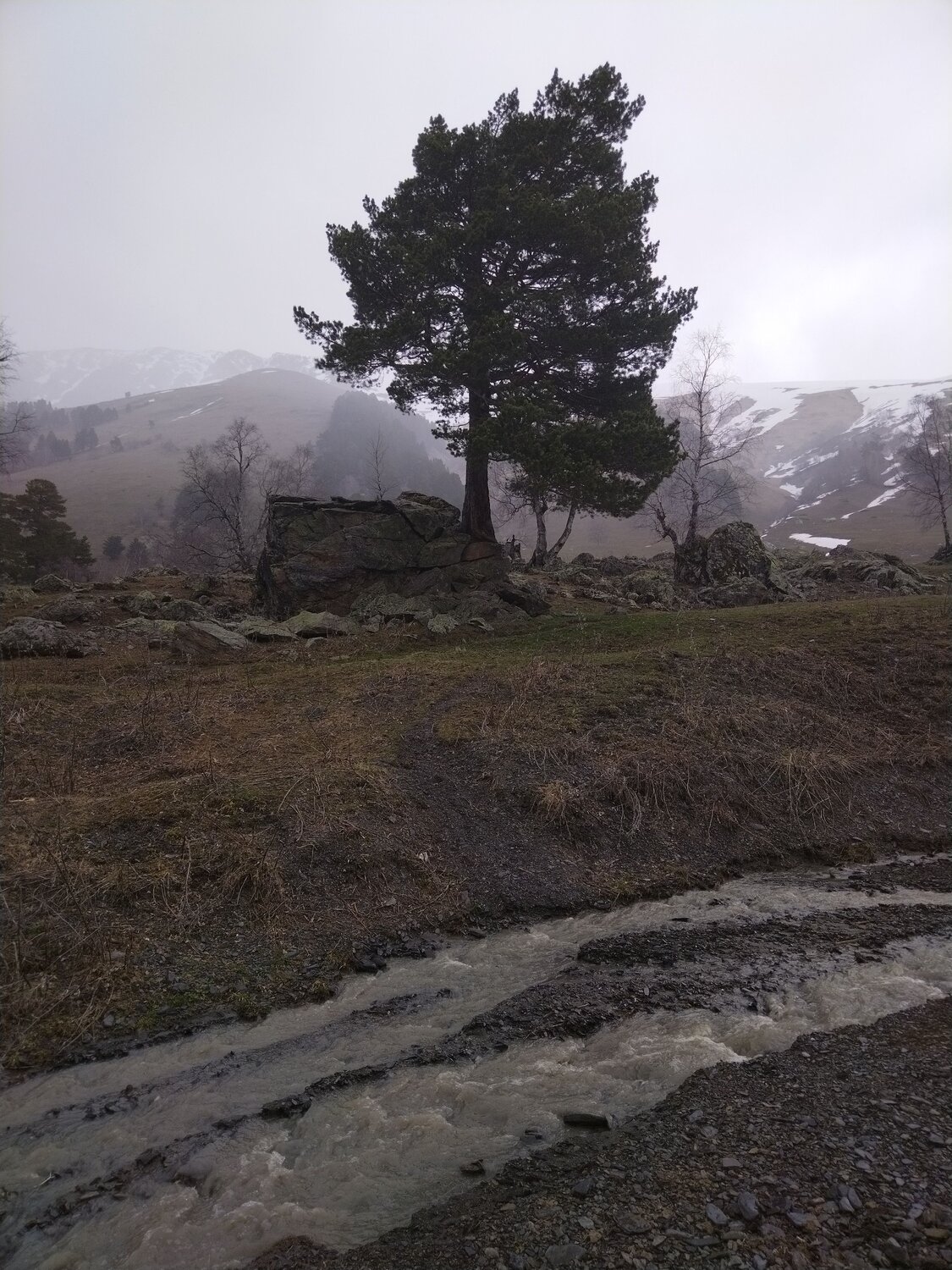 Photo #10243876