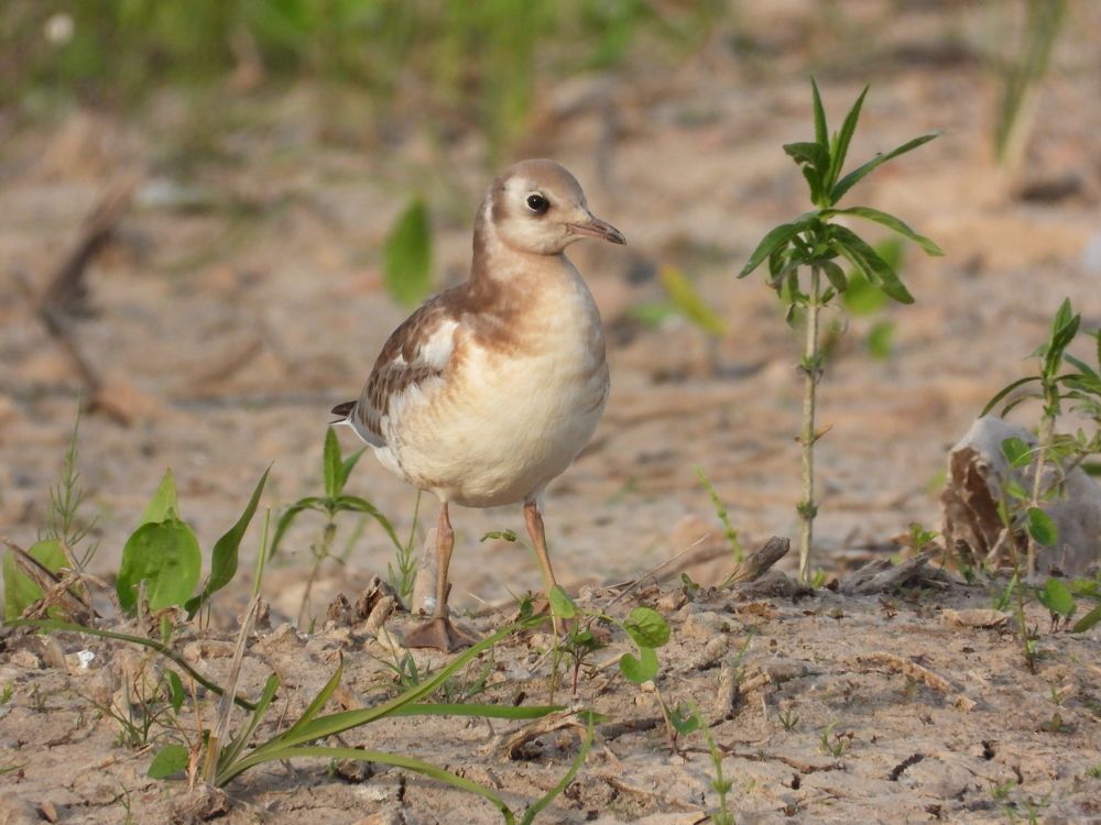 Photograph by Владимир Джерихов