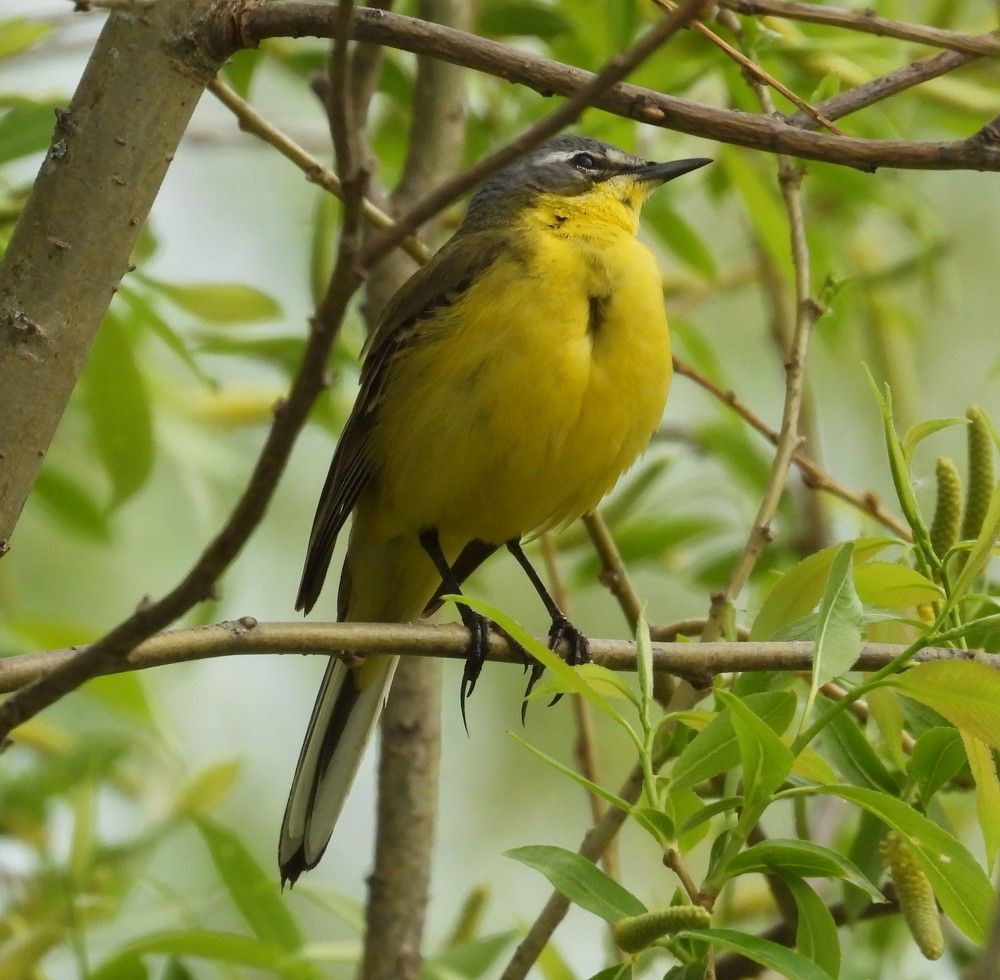 Photograph by Владимир Джерихов
