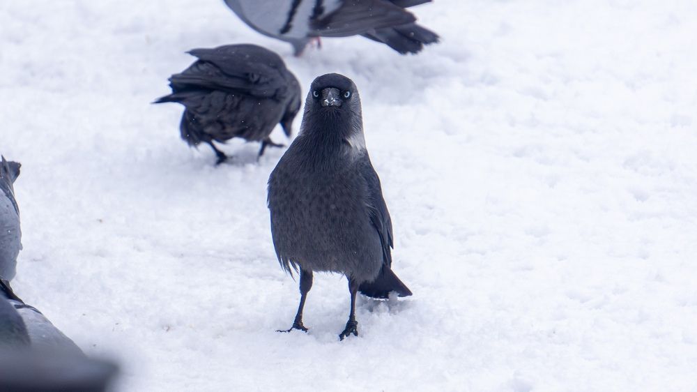 Photograph by Иван Ильин