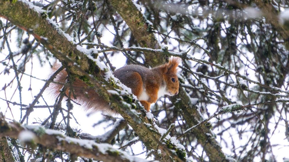 Photograph by Иван Ильин