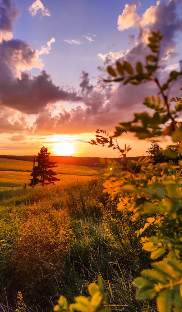 Photograph by Анастасия Семилетова