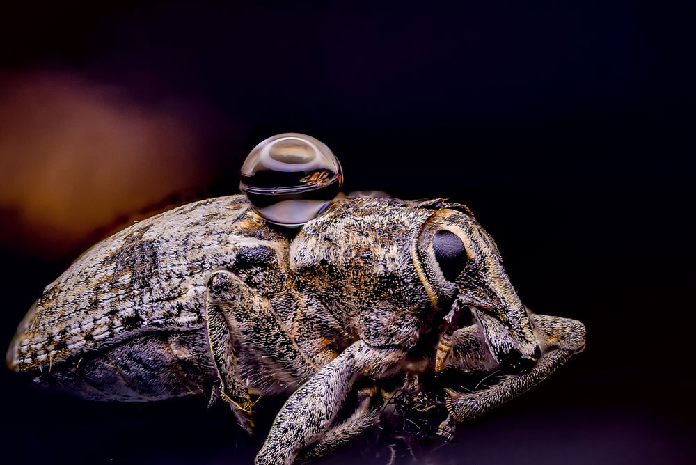 Photograph by Юрий Яковлевич