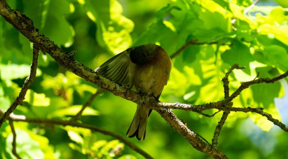 Photograph by Иван Ильин