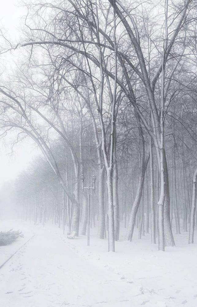 Photograph by Leanid Kulpo