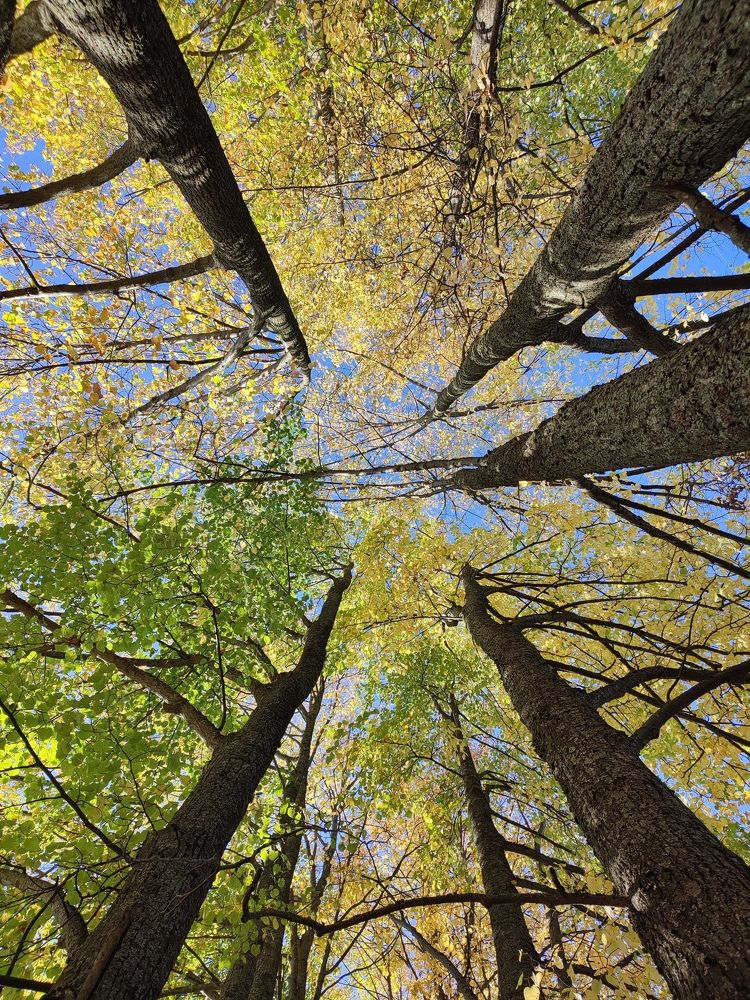 Photograph by Лолита Богачева