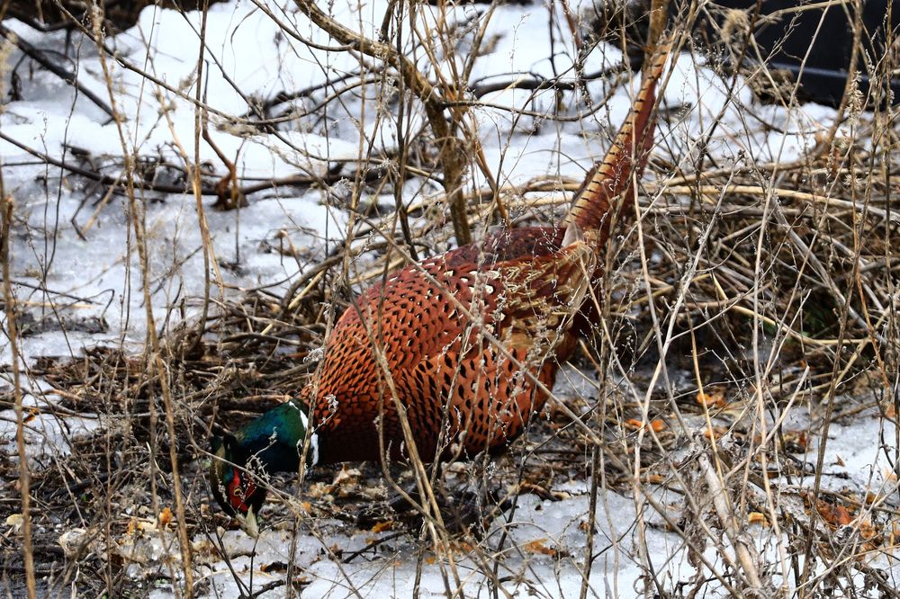 Photograph by Сергей Конюшенко