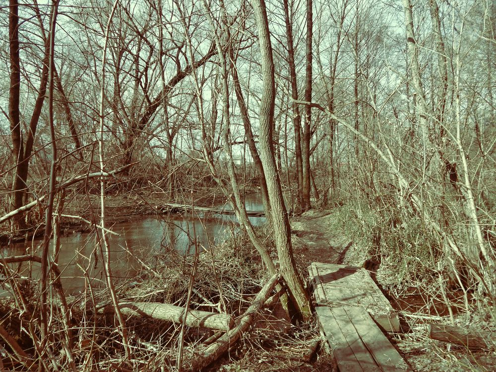 Фотография автора Валерий Цуркан