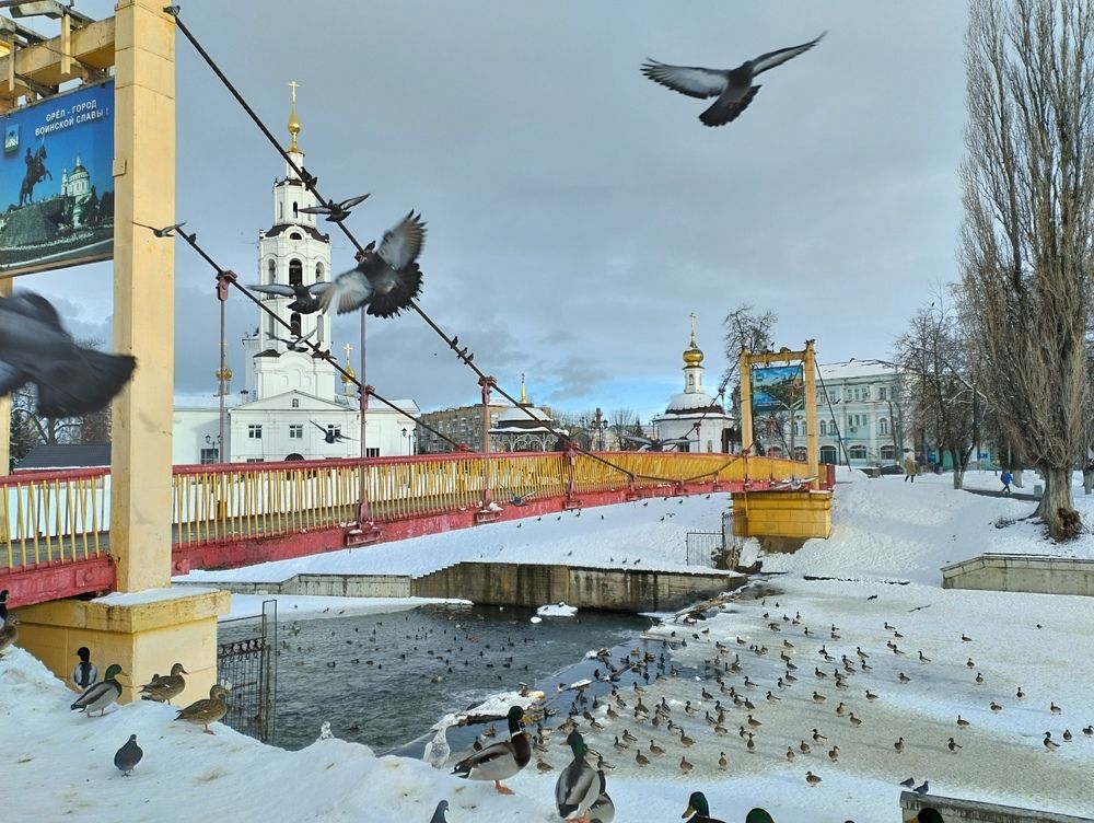 Photograph by Надежда Болтунова