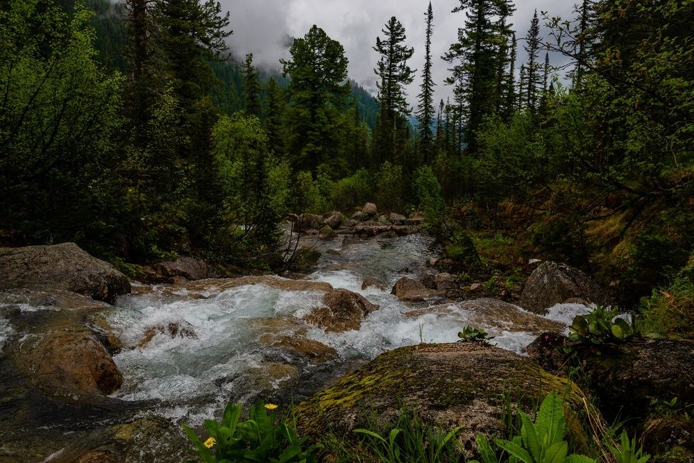 Photograph by Давыдова Гульгена