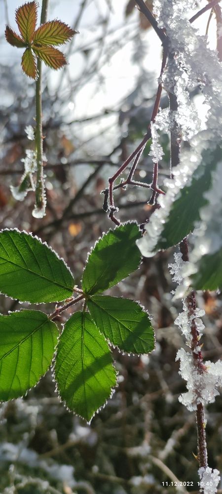 Photograph by Елена Семенова