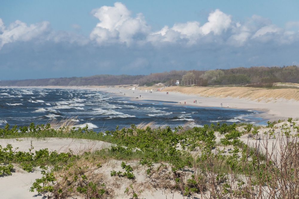 Photograph by Сипаева Катерина