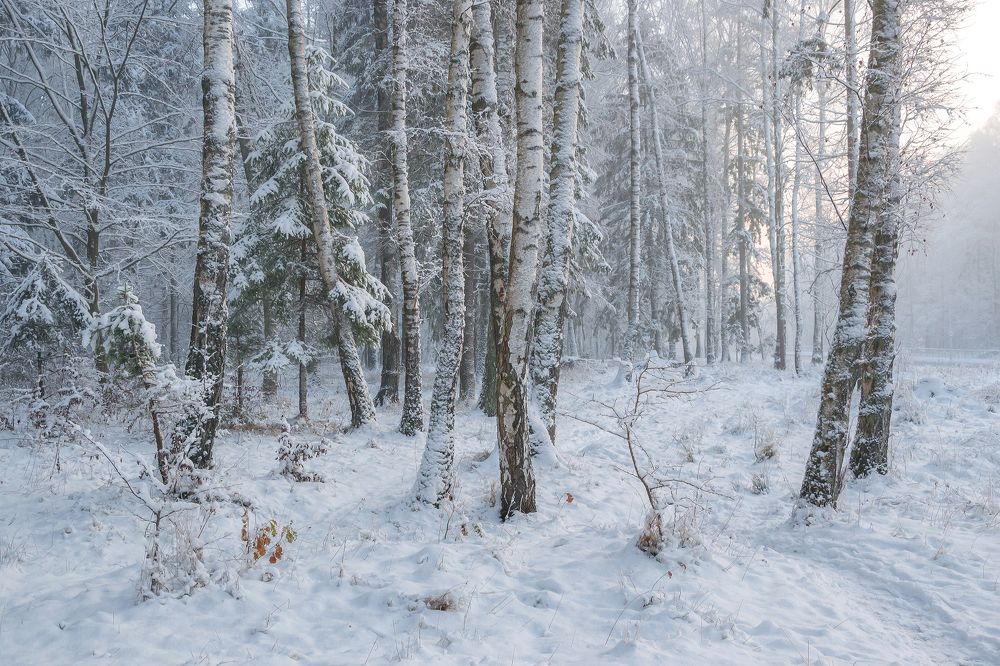 Photograph by Сипаева Катерина