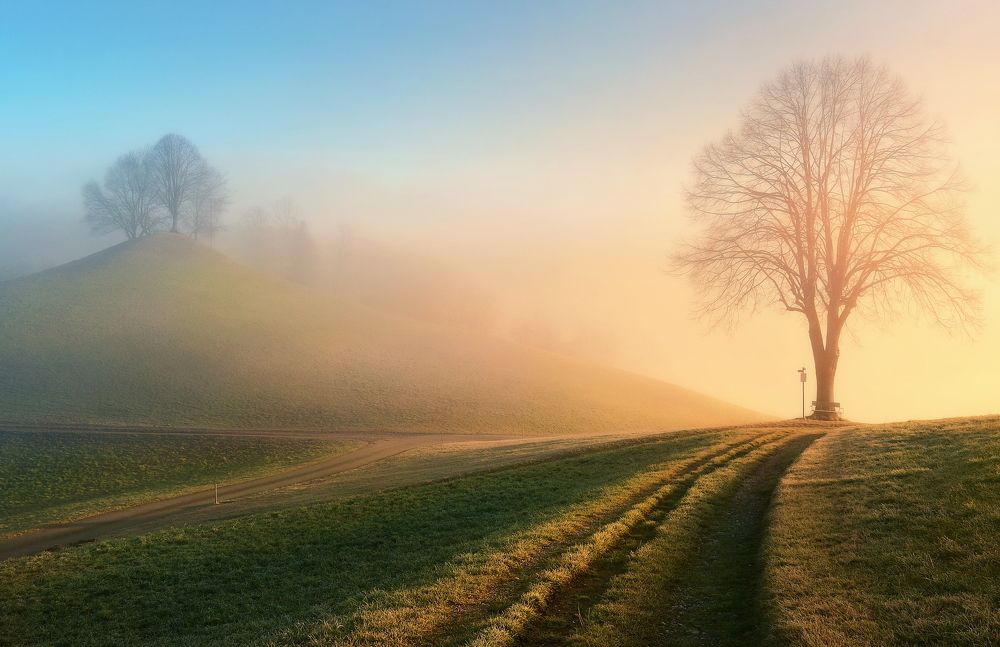Misty winter morning