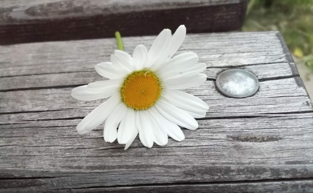 Photograph by Елена Гарифуллина