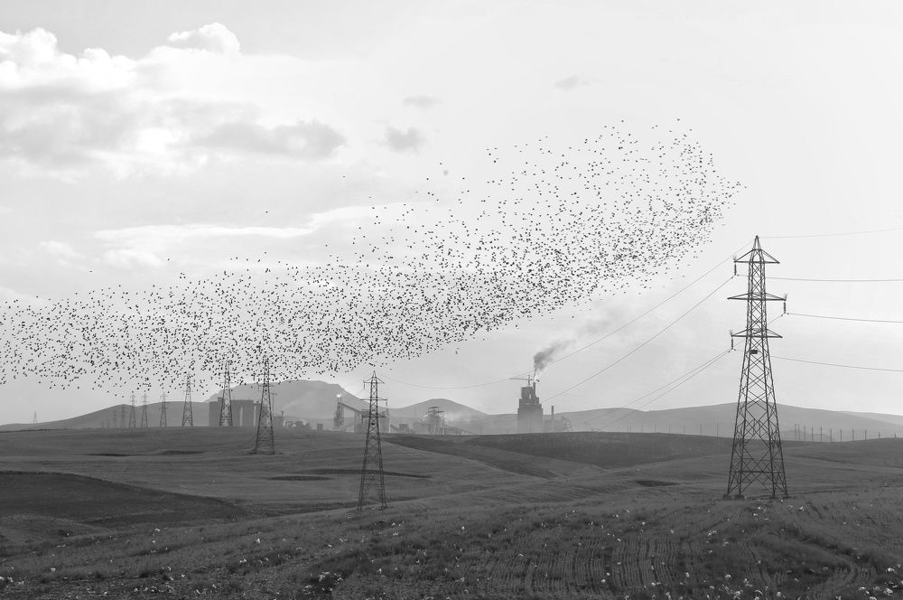 Photograph by Ali Razaviyan