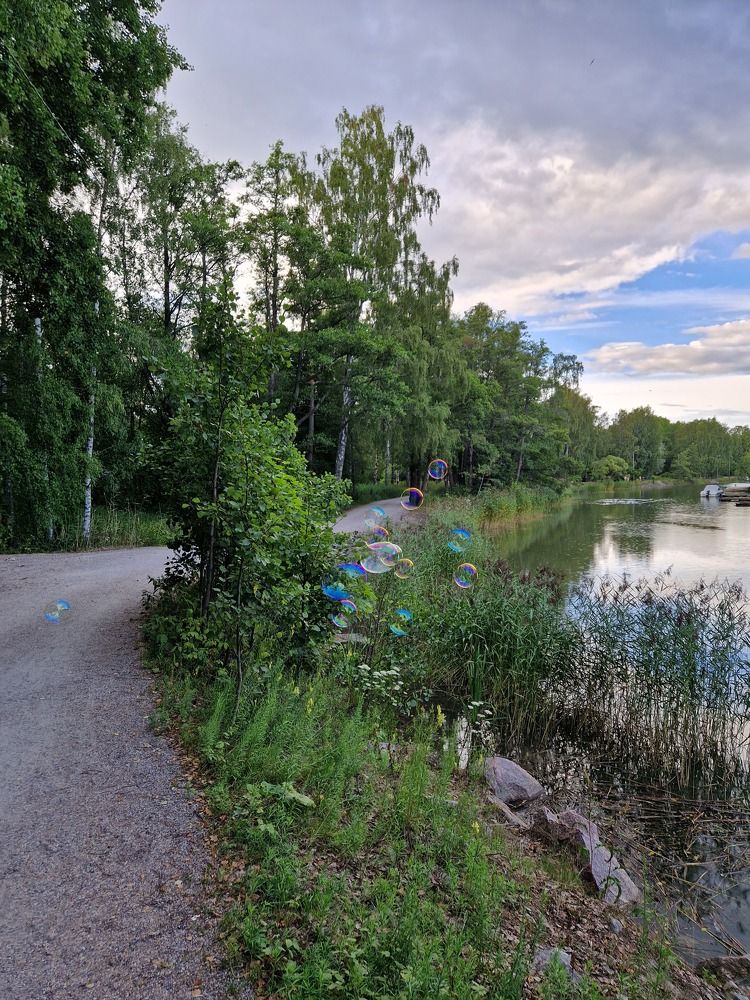 Одна весёлая прогулка