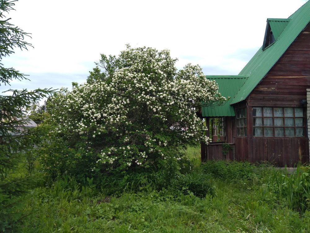 Деревенский пейзаж